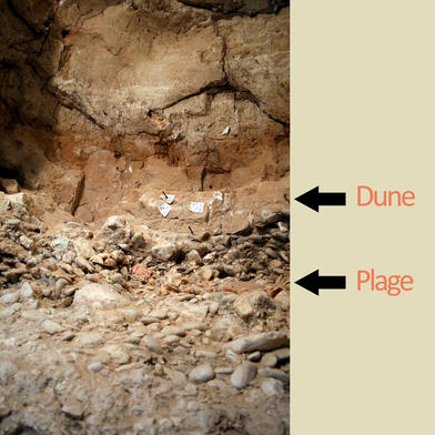 Vue de la coupe stratigraphique de la grotte du Lazaret © Musée Terra Amata / Ville de Nice  