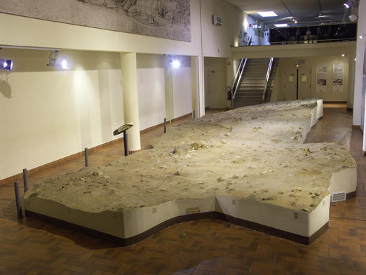 Moulage du sol de la grotte © Musée Terra Amata / Ville de Nice  